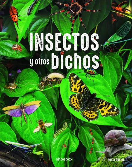 Insectos y Otros Bichos