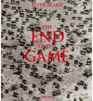 THE END OF THE GAME