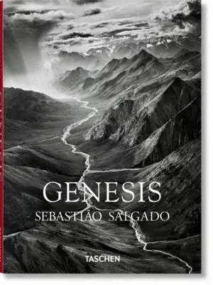 Salgado, Genesis