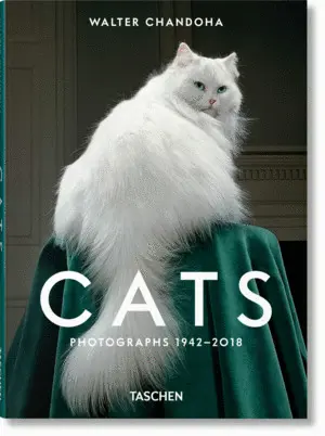 Cats Photographs 1942-2018