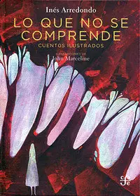 Lo que no se Comprende. Cuentos Ilustrados