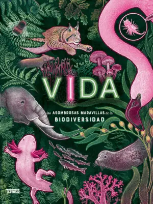 Vida