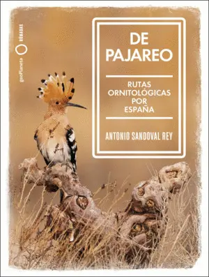 De Pajareo