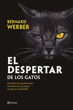El Despertar de los Gatos