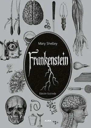 FRANKENSTEIN O EL MODERNO PROMETEO (EDICIÓN ILUSTRADA)