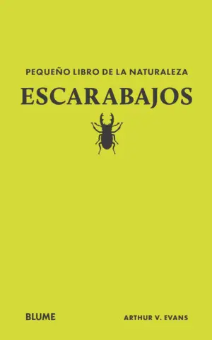 PEQUEÑO LIBRO DE LA NATURALEZA. ESCARABAJOS