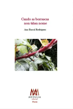 Cando As Borrascas Non Tiñan Nome