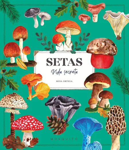 Setas Vida Secreta