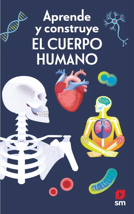 Aprende y Construye. El Cuerpo Humano