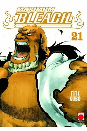 Maximum Bleach N. 21