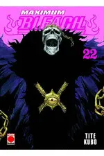 Maximum Bleach N. 22