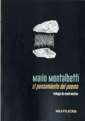 El Pensamiento del Poema