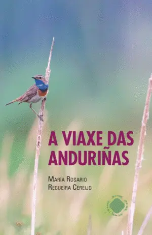 A Viaxe Das Anduriñas