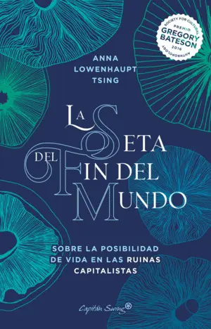 La Seta del Fin del Mundo