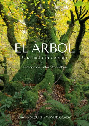 El Árbol