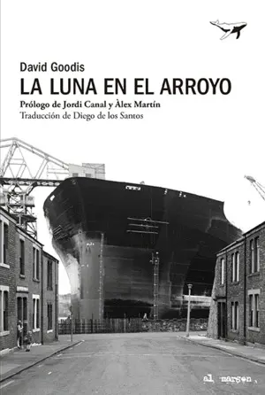 La Luna en el Arroyo