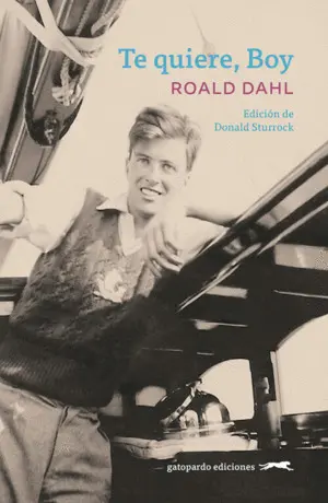 Te Quiere, Boy