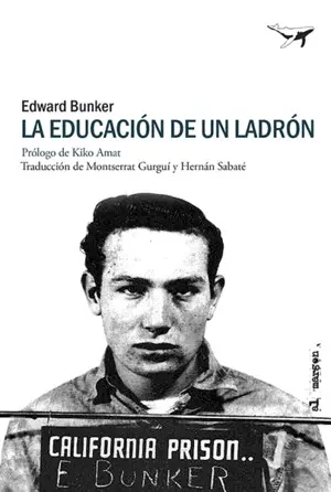La Educacion de un Ladron