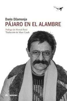 Pájaro en el Alambre