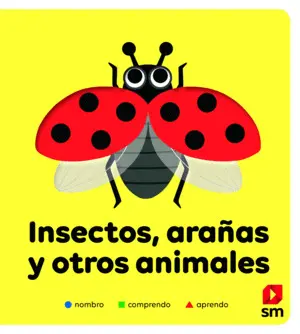 Insectos