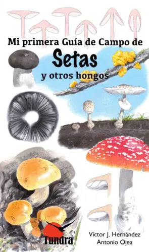 Mi Primera Guia Campo de Setas y Otros Hongos