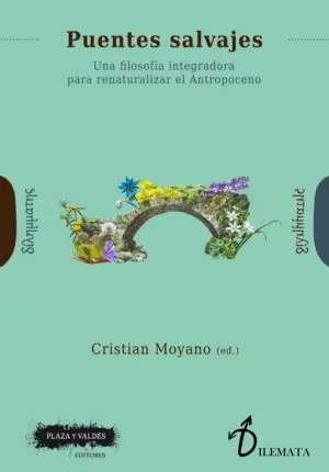 Puentes Salvajes