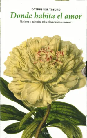 Donde Habita Amor. Ficciones y Misterios Sobre el Sentimiento Amoroso
