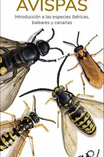 Avispas - Guias Desplegables Tundra