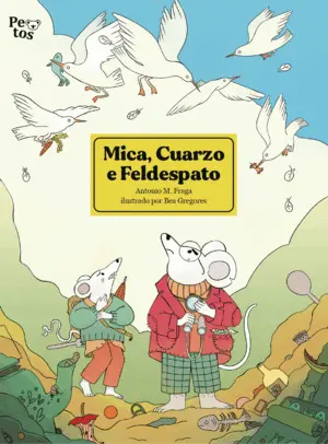 Mica, Cuarzo e Feldespato