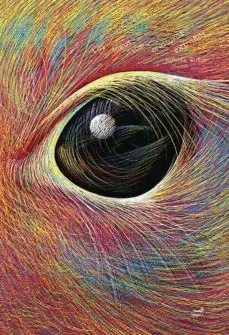 Las Ideas Son Criaturas Extrañas