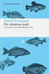 Un Inmenso Azul