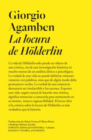 La Locura de Hölderlin