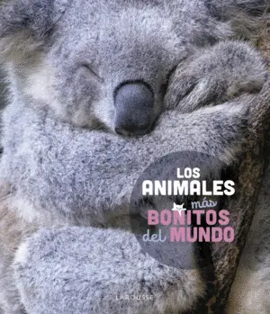 Los Animales Más Bonitos del Mundo