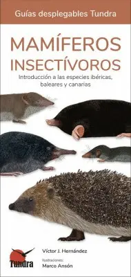 Mamiferos Insectivoros