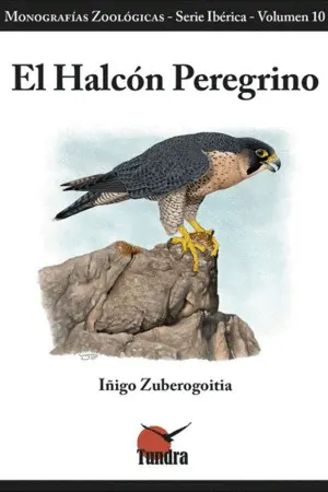 El Halcon Peregrino