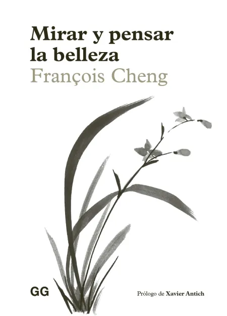 Mirar y Pensar la Belleza