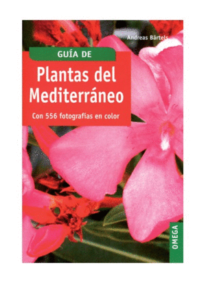PLANTAS DEL MEDITERRANEO