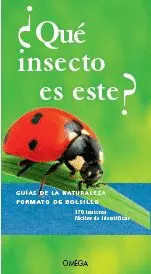 ¿Que Insecto Es Este?