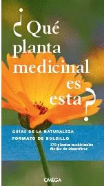 ¿Que Planta Medicinal Es Esta?