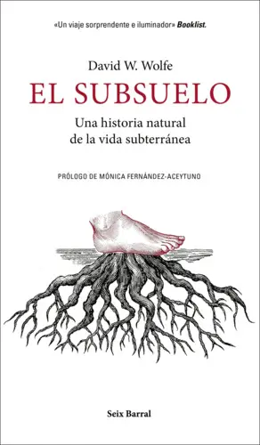 El Subsuelo