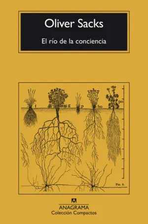 El Río de la Conciencia