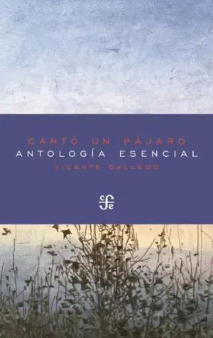 Cantó un Pájaro