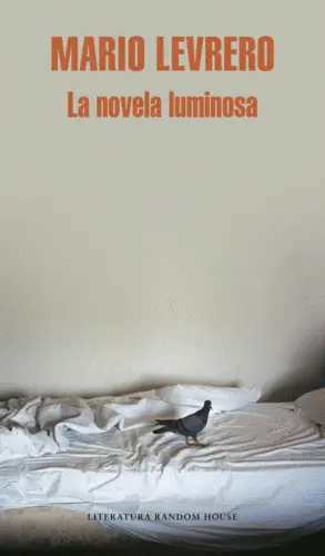 La Novela Luminosa