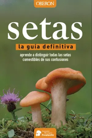 Setas. La Guía Definitiva