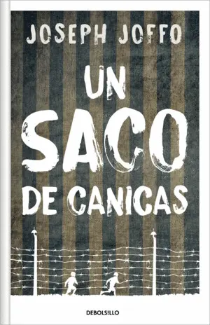 Un Saco de Canicas