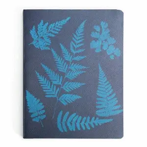 Detente, Instante. Una Historia de la Fotografía