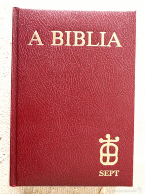 A BIBLIA (4ª EDICION)