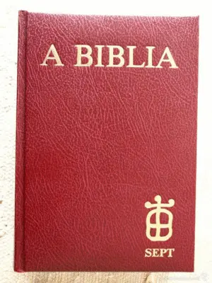 A Biblia (4ª Edicion)
