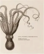 Una Tierra Prometida