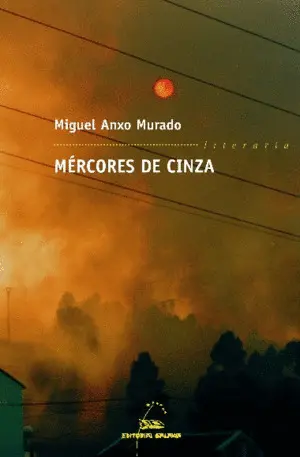 MÉRCORES DE CINZA